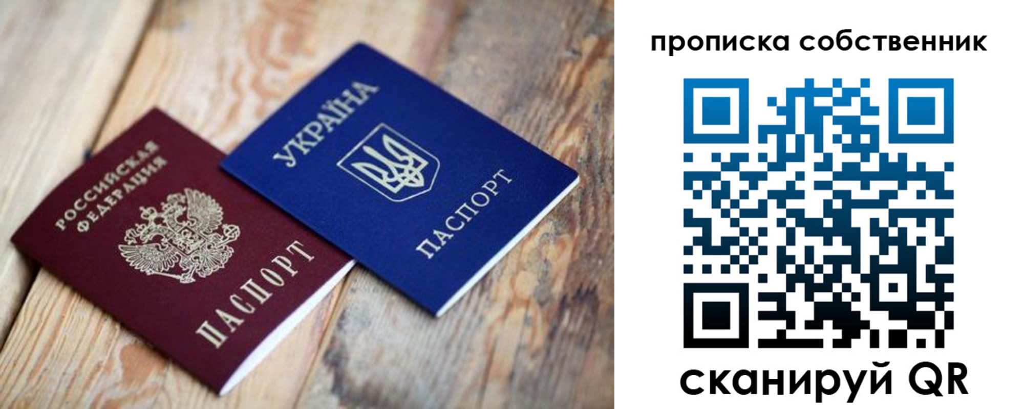 прописка поиск в Павловске
